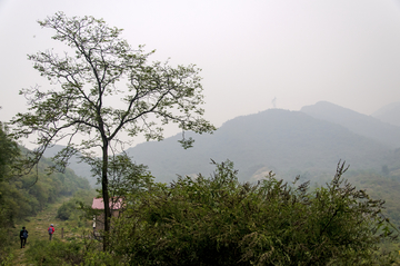 野山