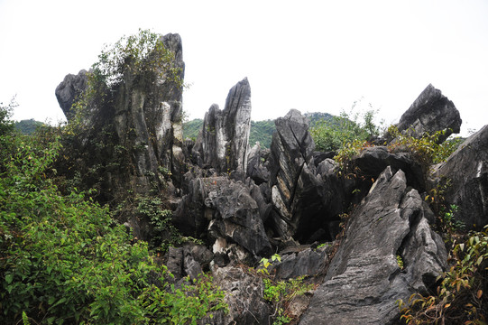 广西柳州大龙潭风景区