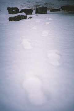 雪地里的脚印