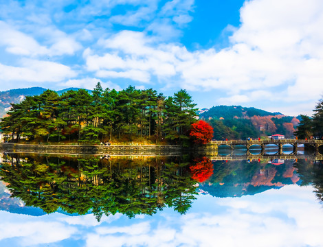 庐山枫叶