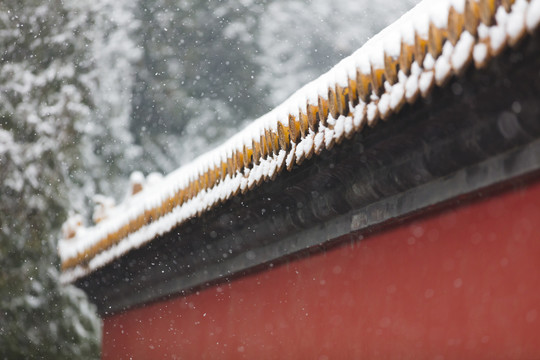 北京颐和园红墙雪景