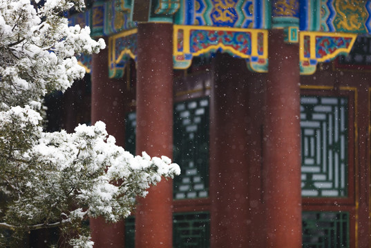 北京颐和园佛香阁景区冬日雪景