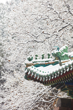 北京颐和园佛香阁景区冬日雪景