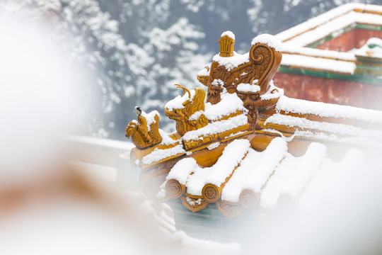 北京颐和园四大部洲景区冬日雪景