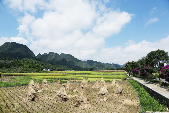 峰林