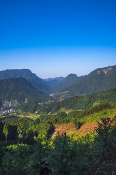大山风景