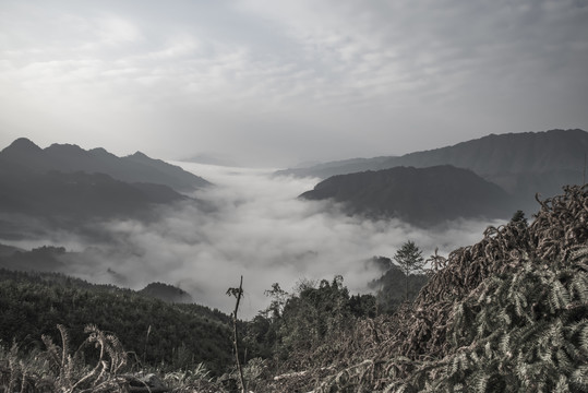 意境山水