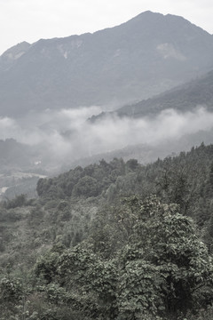 水墨山