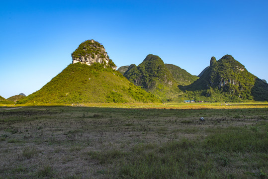 山