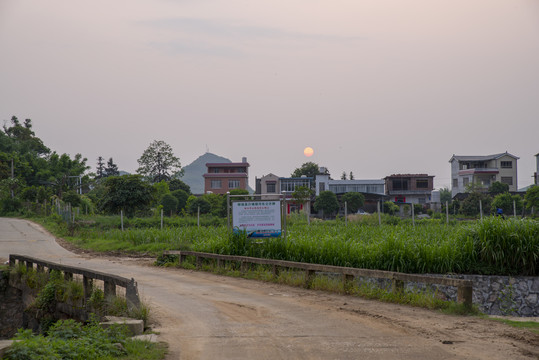 乡村路夕阳