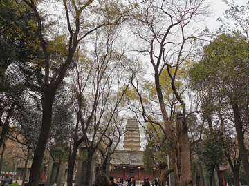 小雁塔