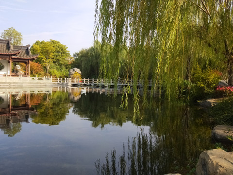 庭院小湖