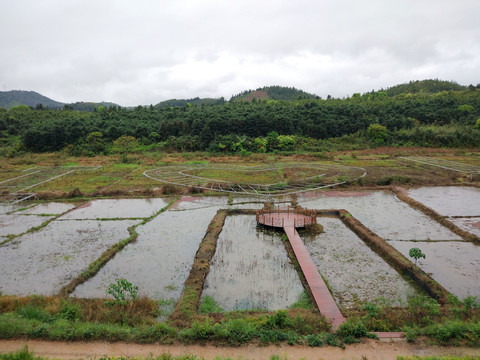 武夷山城村汉城遗址