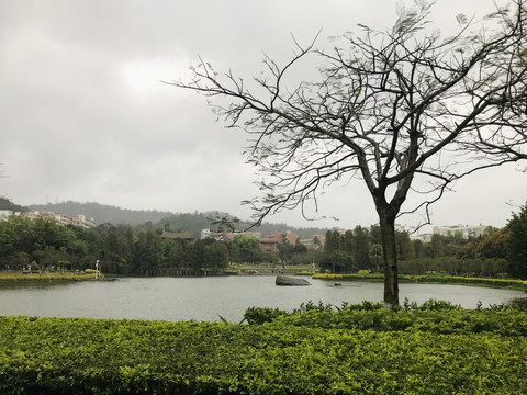 阴天湖景