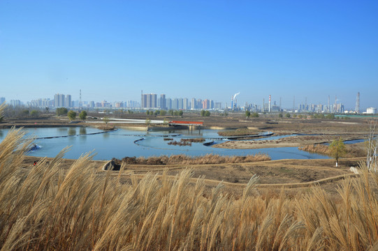 渭河湿地公园