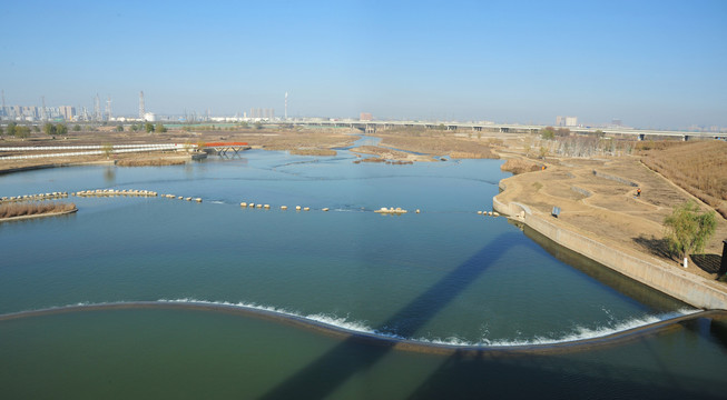 渭河湿地公园