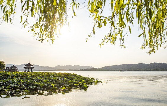 西湖风景