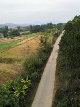 南晓镇东家村水泥路村路