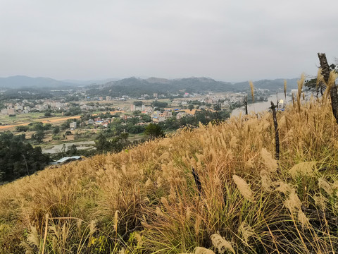 广西钦州市小董镇大丛岭山顶