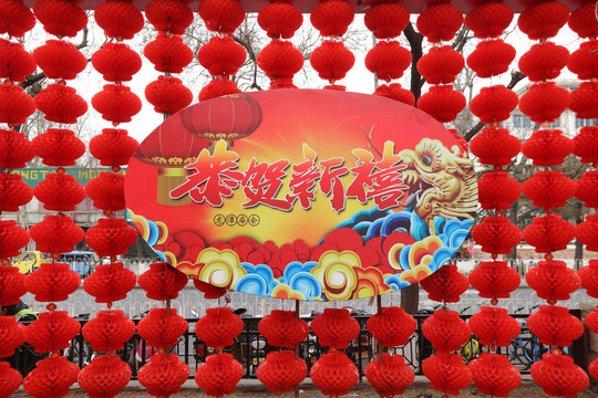 龙潭湖春节