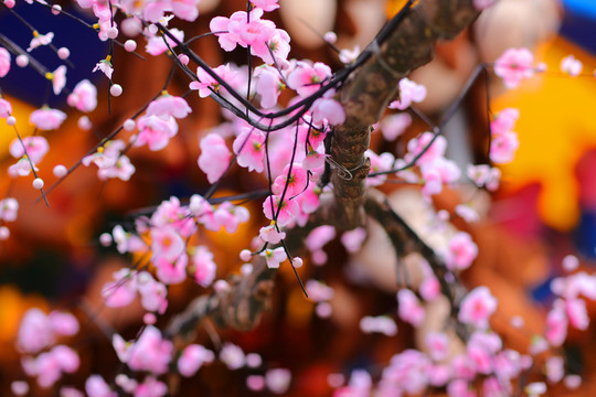 龙潭湖春节