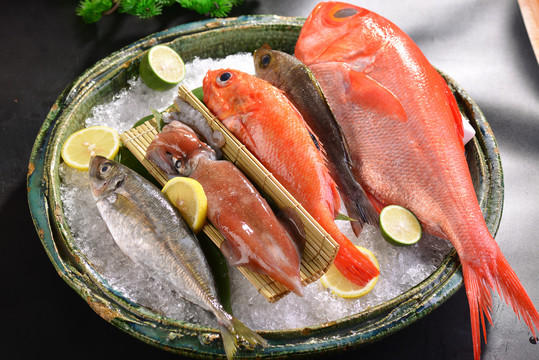 日本海鱼