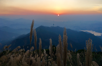 梧桐山风光