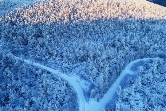 林海雪原树林山路