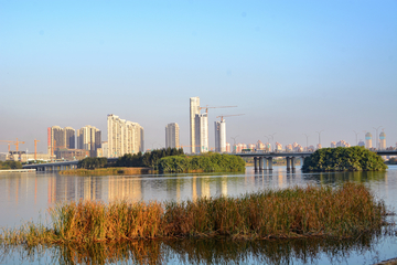 厦门杏林湾风景