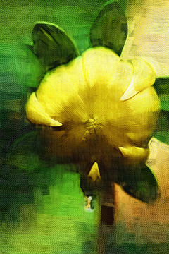 黄色菊花花朵油画