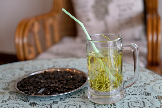 瓜子冰糖茶杯