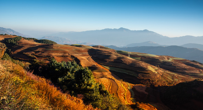 东川红土地