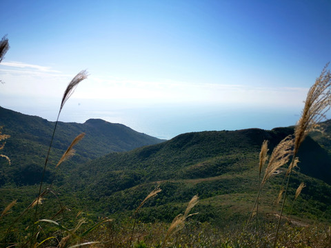 山坡秋色