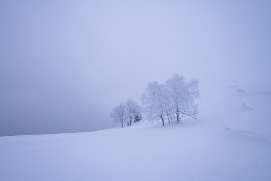 雪乡美景