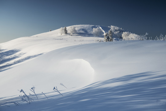 雪乡美景