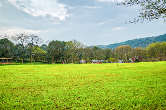 杭州西湖景区太子湾公园绿草地