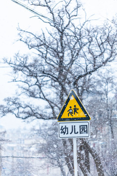 下雪天的枯树枝