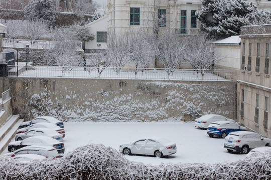 雪后停车场