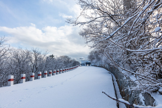 雪后道路