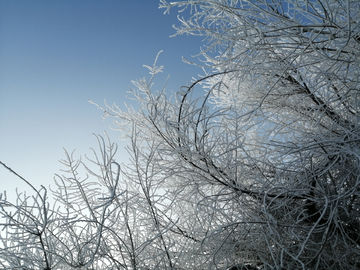 冬天雪背景