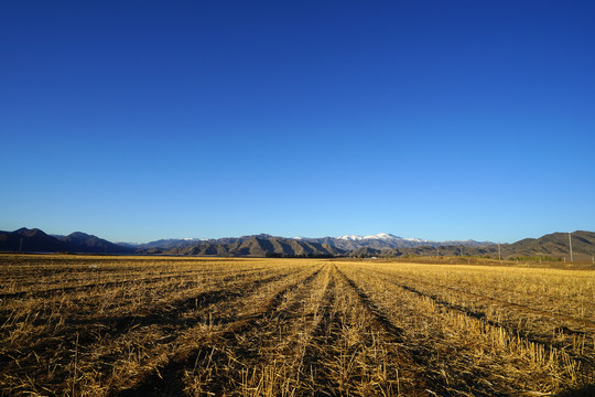 秋天的新疆农场