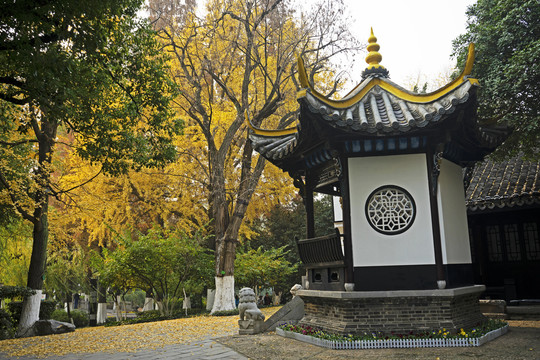 合肥包公祠