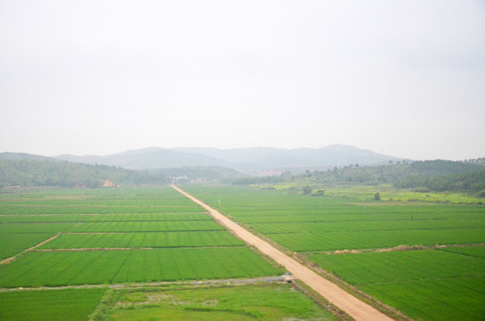 乡村道路