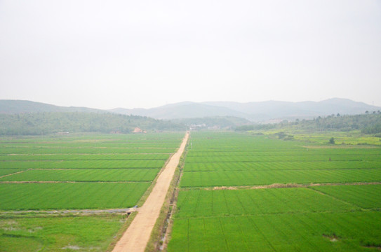 乡村道路