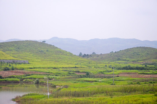 荒山野岭