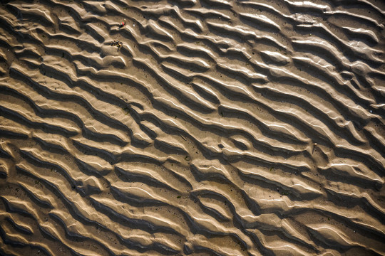 沙滩水纹