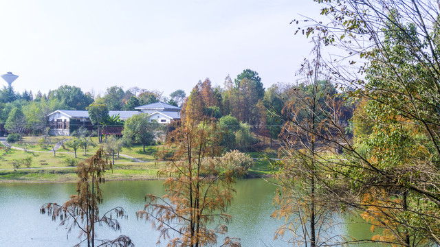 冬日湖畔美景