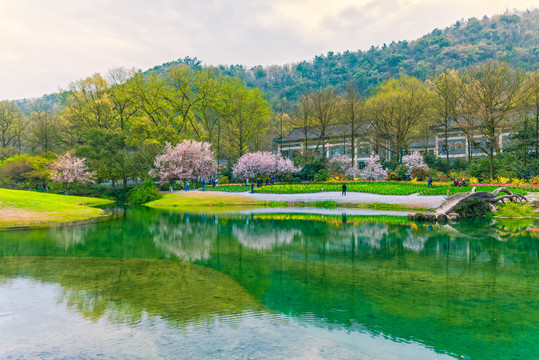 杭州西湖太子湾公园春景