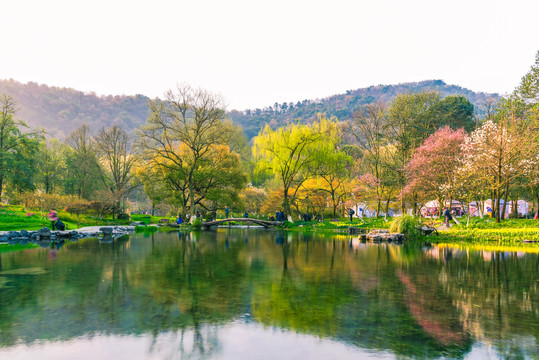 杭州西湖太子湾公园春景