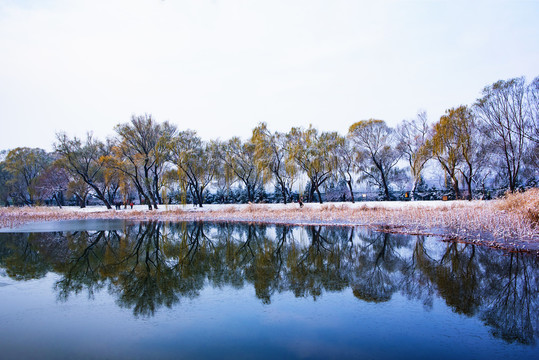 北京颐和园西堤的雪景倒影图片